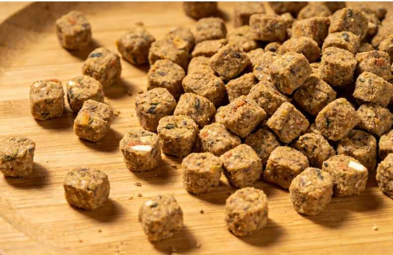 Is Homemade Cat Food Better?