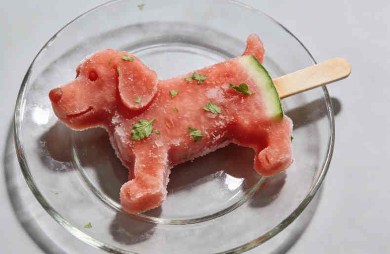 Watermelon Mint Dog Popsicle Recipe