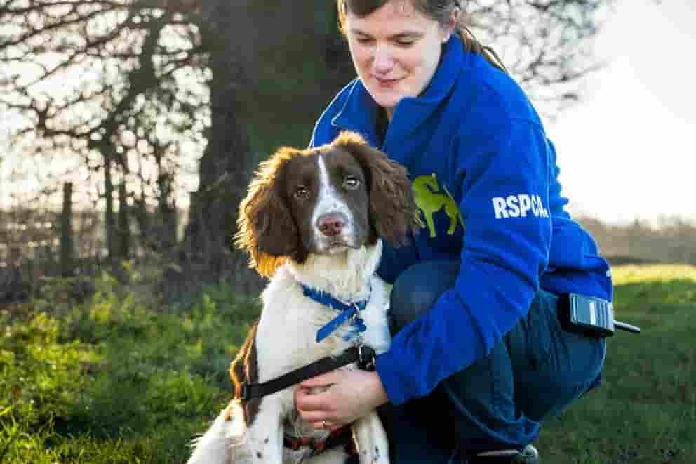 Pet guardians are increasingly worried about the mental health of their dogs and cats