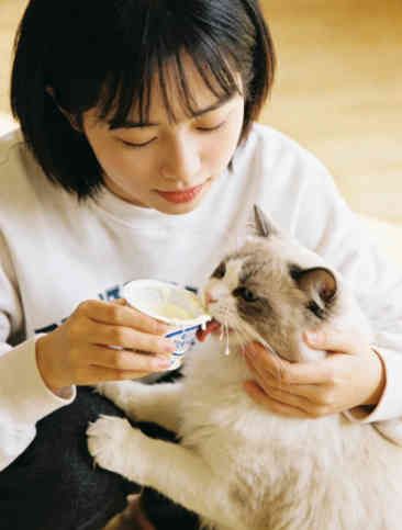 We Know They Love It, But Can Cats Eat Yogurt?
