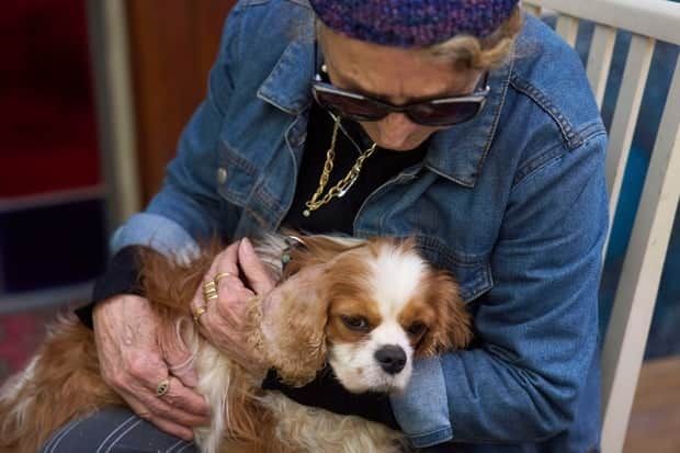 Remarkable return of Israeli family's dog from Gaza brings a "little light in a lot of sorrow"