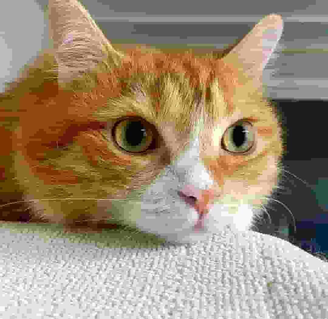 20260420/d40cdf739a6dd166e131d098c229096f.jpg