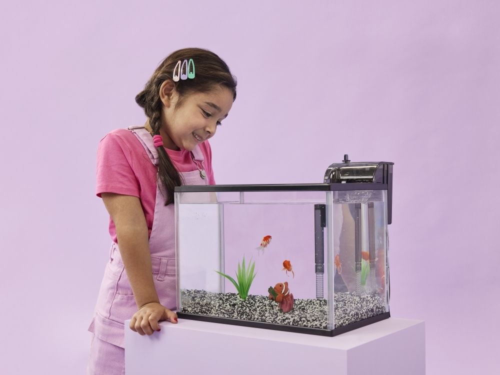 Do fish make good pets? 5 reasons why your first pet should be a fish