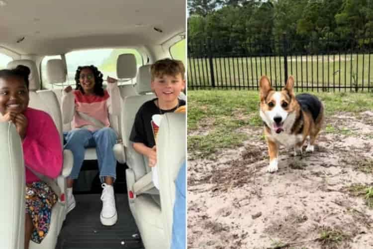 Mom Captures Kids’ Reactions As She Reveals They’re Adopting Rescue Corgi
