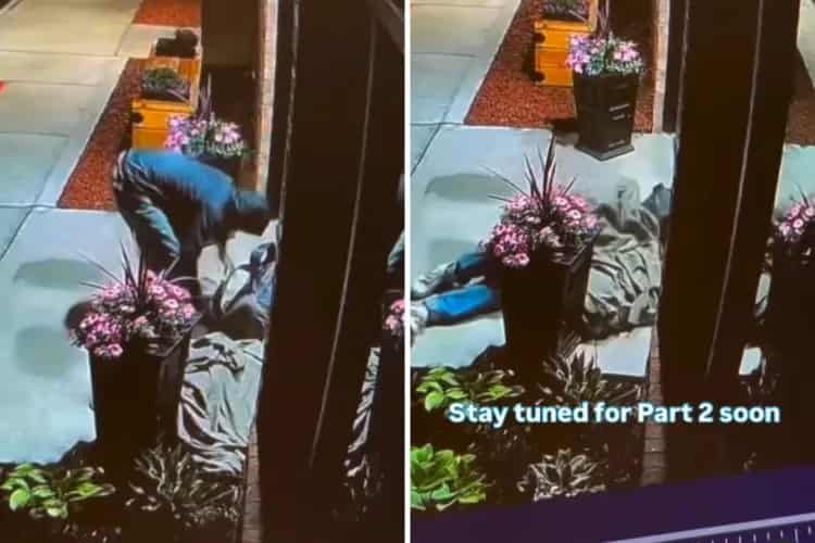 Man Brings Injured Dog To Shelter at 4 A. M.—Then Does Something Unexpected